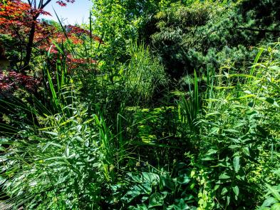 Haus-julchen-gartenansicht