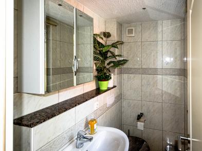Haus-duenenperle-baabe-gaeste-wc